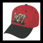 Batavia Muckdogs